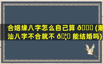 合姻缘八字怎么自己算 🕊 (潮汕八字不合就不 🦄 能结婚吗)